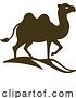 Vector Illustration of Camel Animal Design Illustration Mascot Icon by AtStockIllustration