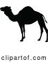 Vector Illustration of Camel Animal Silhouette by AtStockIllustration