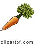 Vector Illustration of Carrot Vegetable Illustration by AtStockIllustration