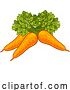 Vector Illustration of Carrots Vegetable Illustration by AtStockIllustration