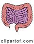 Vector Illustration of Cartoon Human Digestive System Showing the Gastrointestinal Tract by AtStockIllustration
