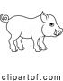 Vector Illustration of Cartoon Pig Boar Chinese Zodiac Horoscope Animal Year Sign by AtStockIllustration