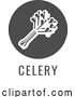 Vector Illustration of Celery Vegetable Food Allergen Icon Concept by AtStockIllustration