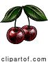 Vector Illustration of Cherry Berry Fruit Vintage Woodcut Illustration by AtStockIllustration