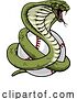 Vector Illustration of Cobra Snake Baseball Ball Animal Sport Team Mascot by AtStockIllustration