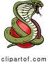 Vector Illustration of Cobra Snake Cricket Ball Animal Sports Team Mascot by AtStockIllustration