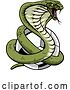 Vector Illustration of Cobra Snake Soccer Football Animal Team Mascot by AtStockIllustration