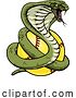 Vector Illustration of Cobra Snake Softball Animal Sports Team Mascot by AtStockIllustration