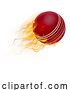 Vector Illustration of Cricket Ball with Flame or Fire Concept by AtStockIllustration