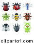 Vector Illustration of Cute Beetles and Other Bugs by AtStockIllustration