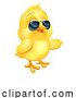 Vector Illustration of Easter Baby Chick Chicken Bird Sunglasses Pointing by AtStockIllustration