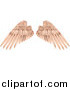 Vector Illustration of Flesh Colored Angel Wings by AtStockIllustration