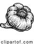 Vector Illustration of Garlic Bulb by AtStockIllustration