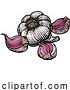 Vector Illustration of Garlic by AtStockIllustration