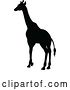 Vector Illustration of Giraffe Safari Animal Silhouette by AtStockIllustration