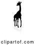 Vector Illustration of Giraffe Safari Animal Silhouette, on a White Background by AtStockIllustration