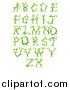 Vector Illustration of Green Vine Alphabet Letters a Through Z by AtStockIllustration