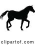 Vector Illustration of Horse Silhouette Animal by AtStockIllustration