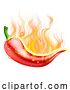 Vector Illustration of Hot Chilli Spicy Flames Pepper on Fire by AtStockIllustration