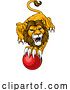Vector Illustration of Lion Cricket Ball Animal Sports Team Mascot by AtStockIllustration