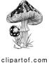 Vector Illustration of Mushrooms Toadstools Vintage Engraved Woodcut by AtStockIllustration