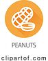 Vector Illustration of Peanut Nut Food Allergy Icon Concept by AtStockIllustration