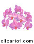 Vector Illustration of Purple or Pink Orchid Flowers by AtStockIllustration