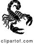 Vector Illustration of Scorpion Scorpio Zodiac Sign Design by AtStockIllustration