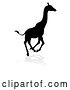 Vector Illustration of Silhouetted Giraffe Running, with a Reflection or Shadow by AtStockIllustration