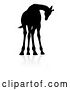Vector Illustration of Silhouetted Giraffe, with a Reflection or Shadow by AtStockIllustration