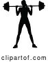 Vector Illustration of Silhouetted Lady Working out and Doing Squats with a Barbell by AtStockIllustration