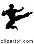 Vector Illustration of Silhouetted Martial Artist Kicking by AtStockIllustration