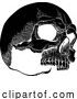 Vector Illustration of Skull Skeleton Grim Reaper Mascot Vintage Woodcut by AtStockIllustration