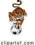 Vector Illustration of Tiger Soccer Football Animal Sports Team Mascot by AtStockIllustration