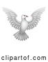 Vector Illustration of White Dove Concept by AtStockIllustration