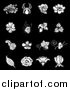 Vector Illustration of White Iris, Rose, Daisy and Tulip Flower Icons over a Black Background by AtStockIllustration