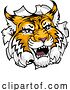 Vector Illustration of Wildcat Bobcat Sports Team Animal Mascot by AtStockIllustration